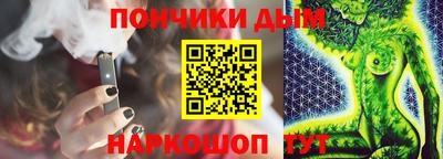 apvp Камышлов