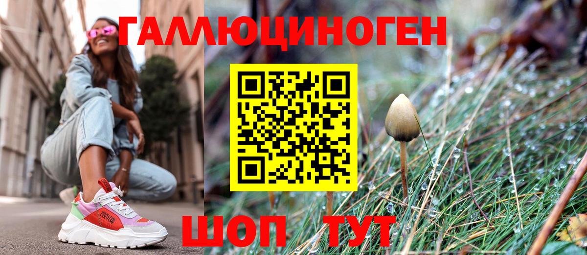 Галлюциногенные грибы мухоморы Краснознаменск